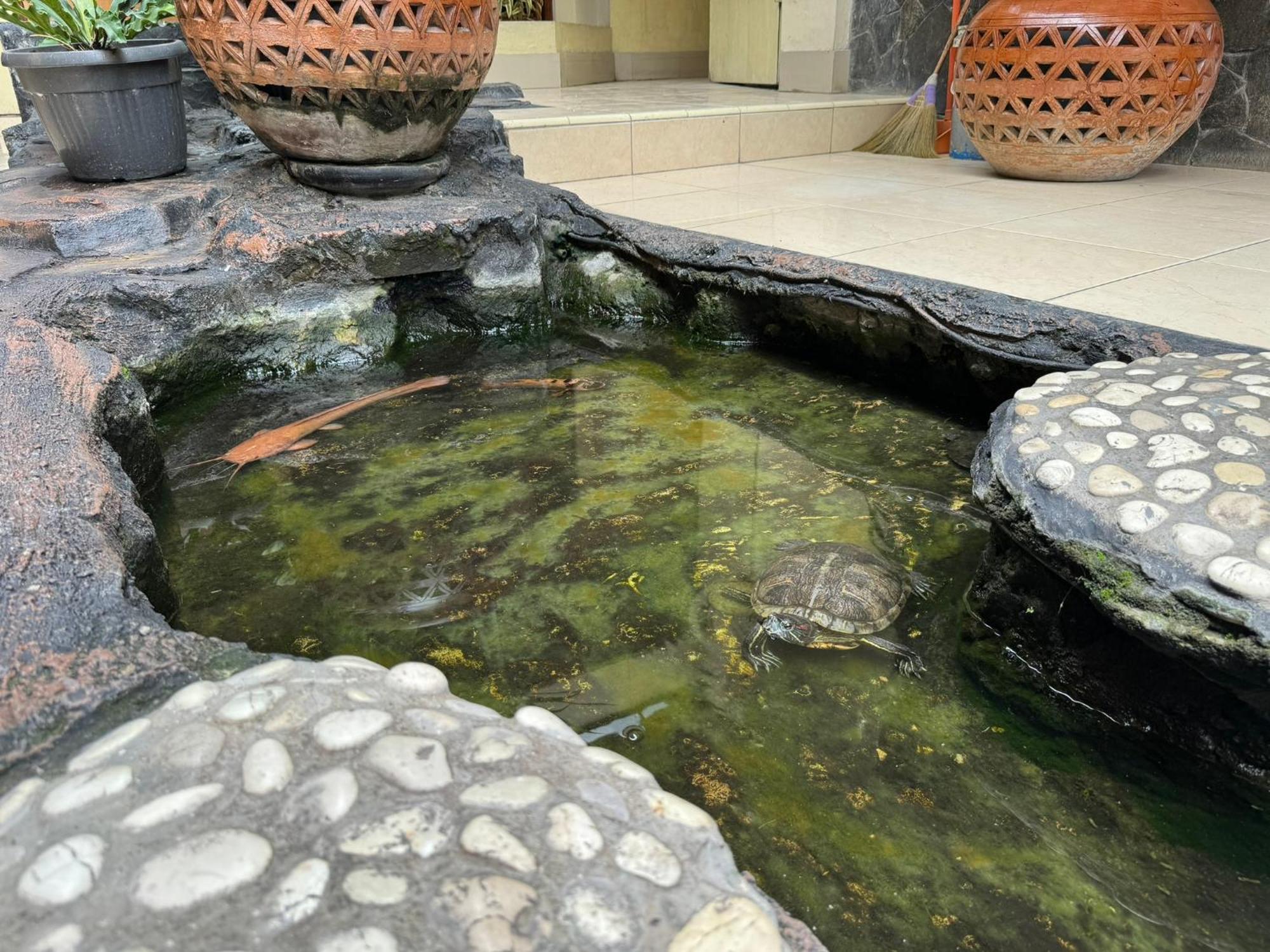 Hotel Priangan Cirebon Εξωτερικό φωτογραφία